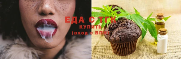 хмурый Абаза