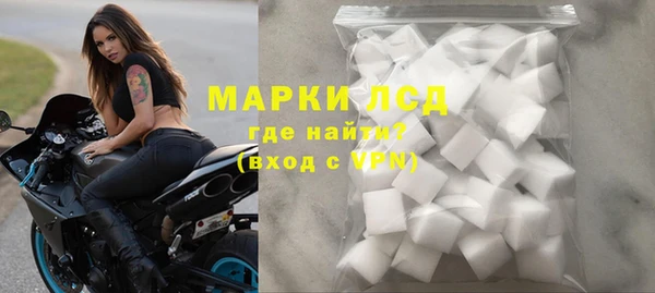 хмурый Абаза