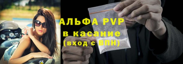 хмурый Абаза