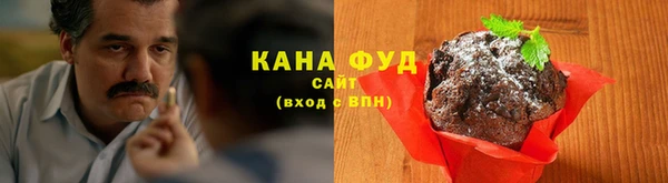 хмурый Абаза