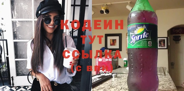 хмурый Абаза