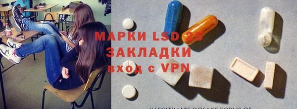 хмурый Абаза