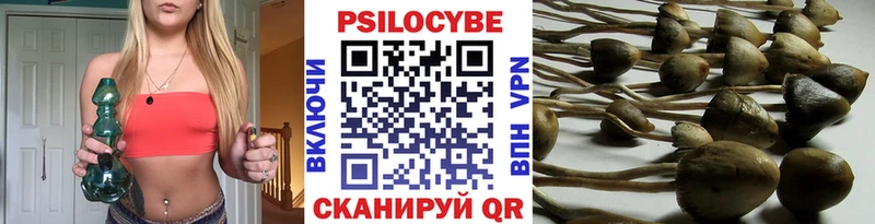 как найти наркотики  Шарыпово  Галлюциногенные грибы мицелий 