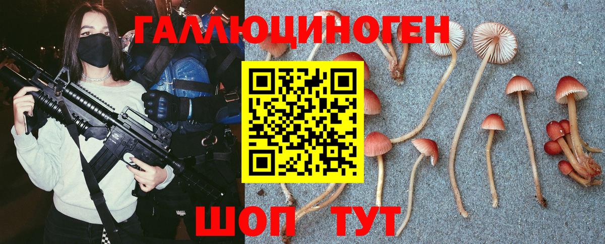 цена наркотик  Вход с VPN  Галлюциногенные грибы прущие грибы  Шарыпово  Галлюциногенные грибы GOLDEN TEACHER 