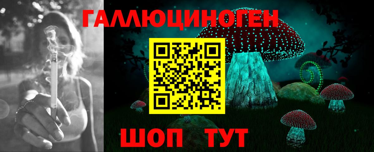 Галлюциногенные грибы прущие грибы Шарыпово